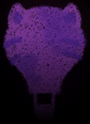 Hot Air Balloon